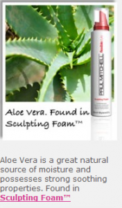 aloe vera in sculpting foam